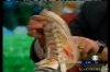 Thumb_early show 2005 563